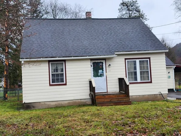 25 Hopkins St, Unadilla, NY 13849