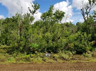 20319 NW 292nd St, Okeechobee, FL 34972