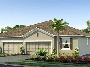 31384 Ancient Sage Rd, Wesley Chapel, FL 33545