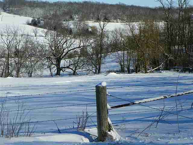 2nd image of 19656/AC E Bough Rd