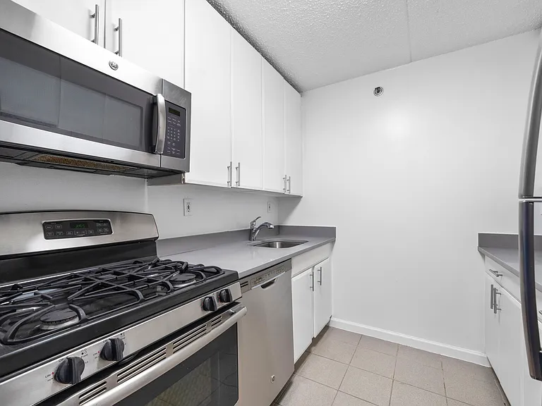 Sleek appliances and modern cabinetry