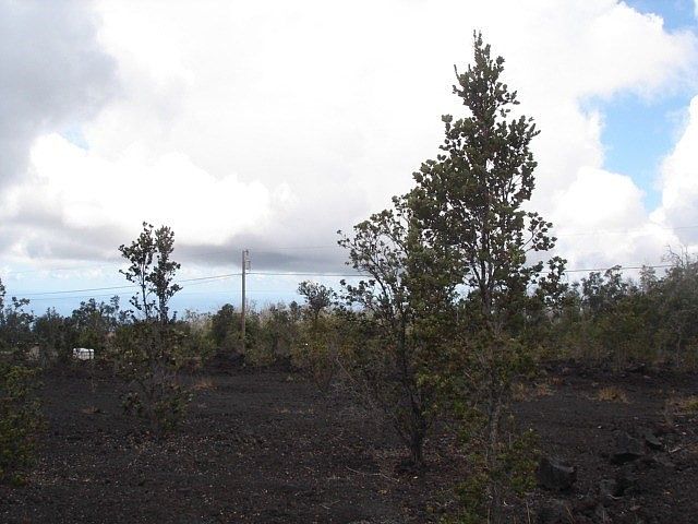2nd image of Paradise Pkwy Lot 35A