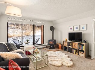 1315 Vine St, Aspen, CO 81611