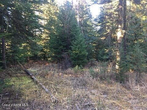 4th image of 325 Buckskin Ln