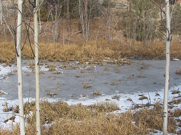 5th image of 169 Gleneagle Dr