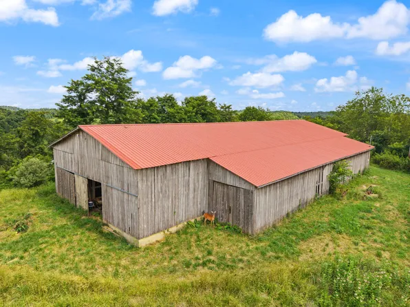 440 Randolph Ridge Rd, Olive Hill, KY 41164