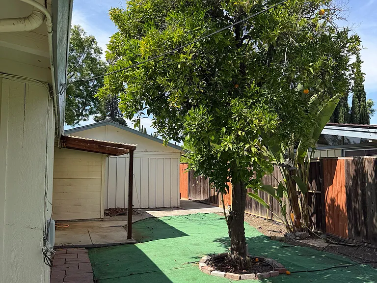 10670 Minette Dr — Photo 5