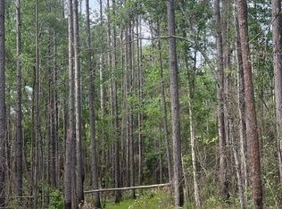 0 Lower Lumpkin Rd, Georgetown, GA 39854