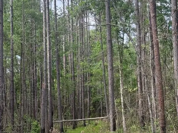 0 Lower Lumpkin Rd, Georgetown, GA 39854