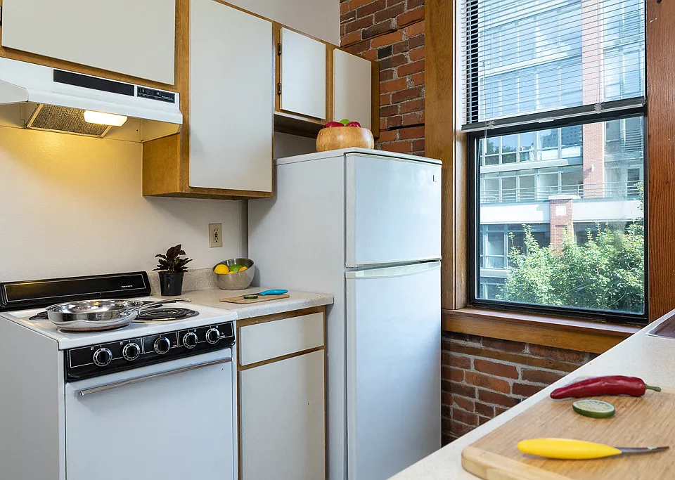 Modern Kitchen