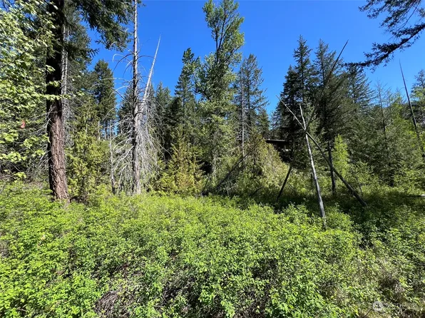7 Cedar Circle, Mazama, WA 98833
