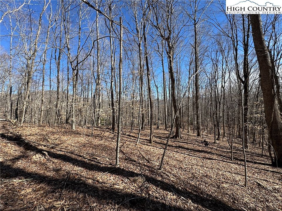 2nd image of 82 +/- Acres Double Head Mountain Road