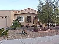 Front yard