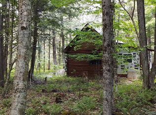 11920 Black Forest Trl #35, Forestport, NY 13338