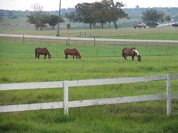 2nd image of 250 County Road 458