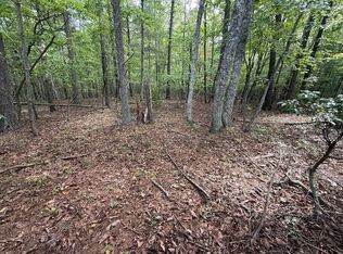 0 Marks Path #3, Henry, VA 24102