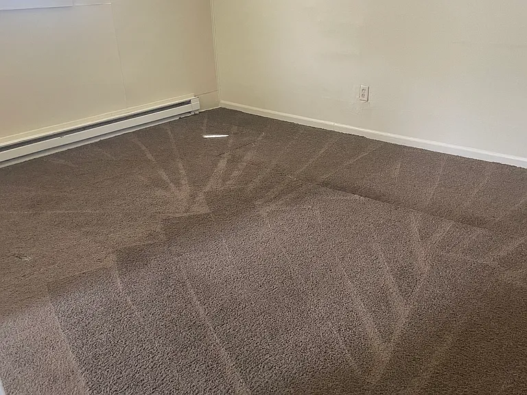 314 Wells St #3 — Photo 6