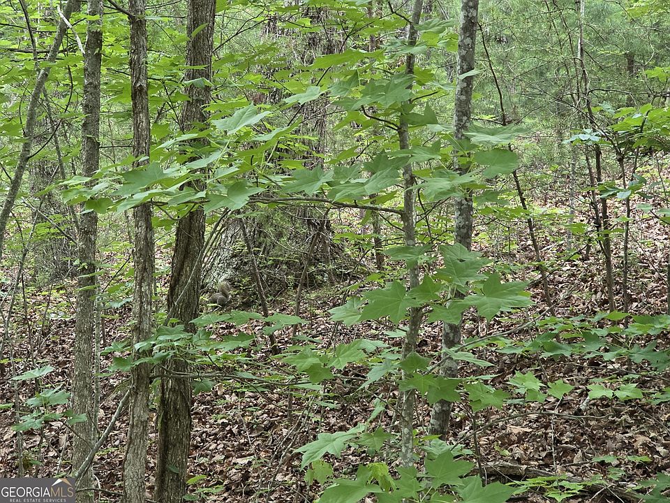 2nd image of Oak Forest Dr