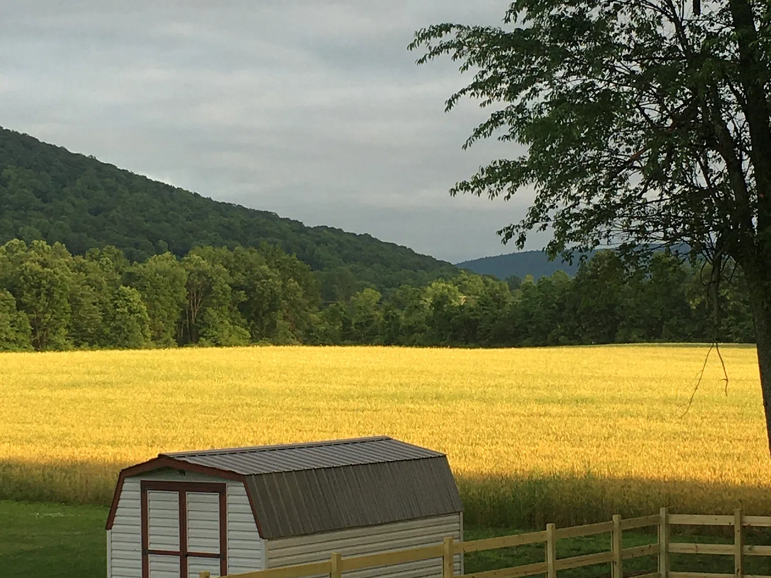 3 bed, 2200 sqft, $2,500 — Photo 3