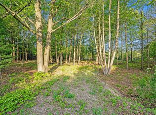 Vacant 168th Ave, Spring Lake, MI 49456