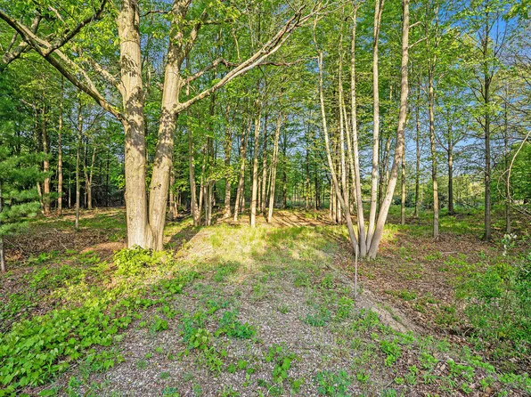 Vacant 168th Ave, Spring Lake, MI 49456
