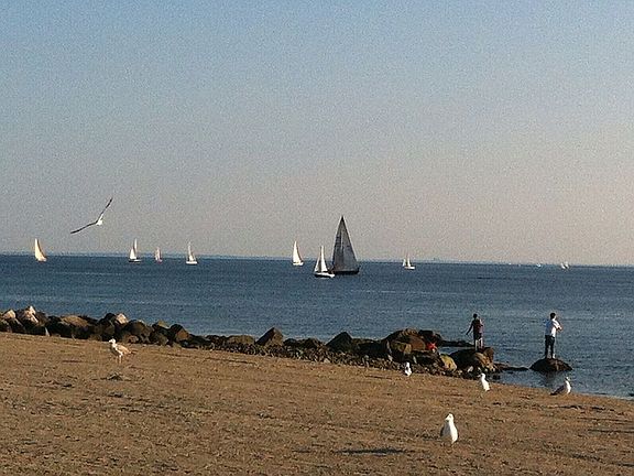 Sunny gulf beach