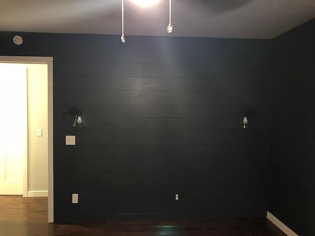 Accent wall in master bedroom. Lights fit on either side of King bed.