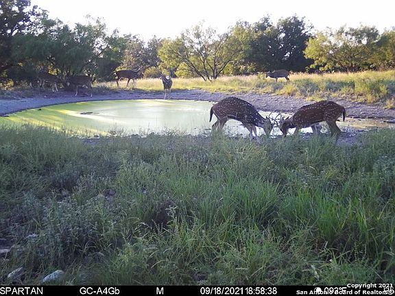 4th image of TBD Waddell Lane