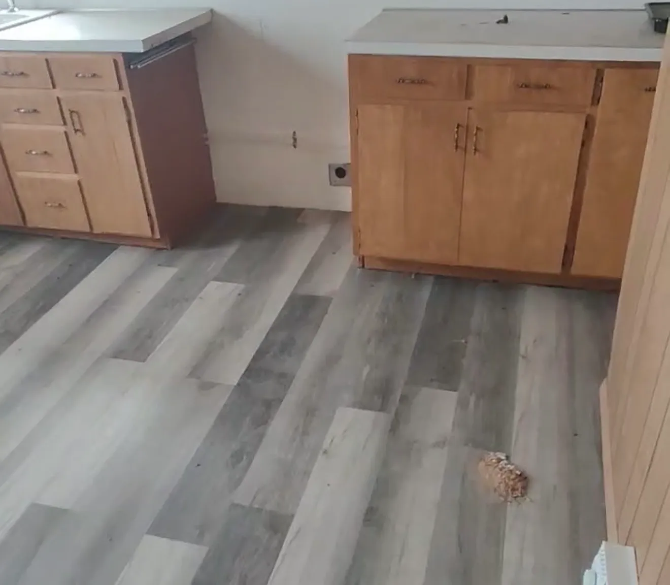 1 bed, 800 sqft, $600 — Photo 2