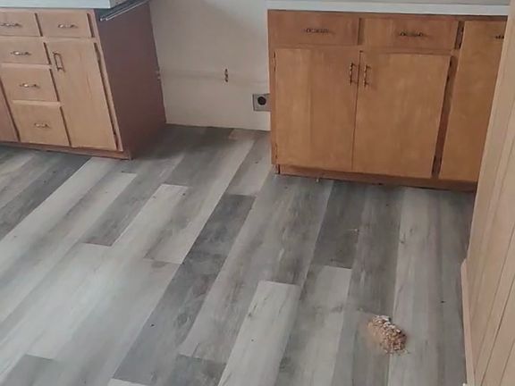 2nd image of 703 H Ave #3