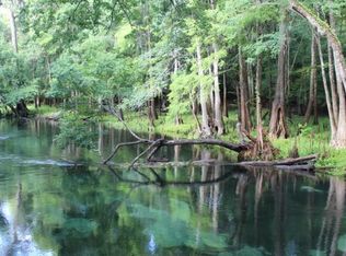 312 SW Riverside Ave, Fort White, FL 32038