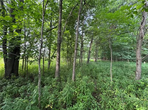 2541 County Rd D, Boyd, WI 54726