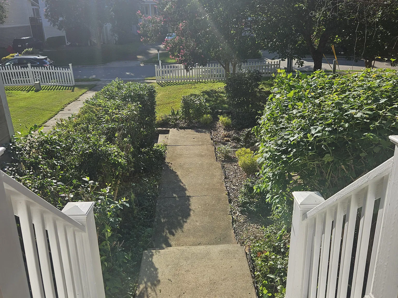 3 bed, 1308 sqft, $3,000 — Photo 4