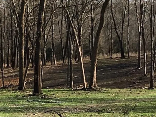 2484 W Landers Road, Nixa, MO 65714