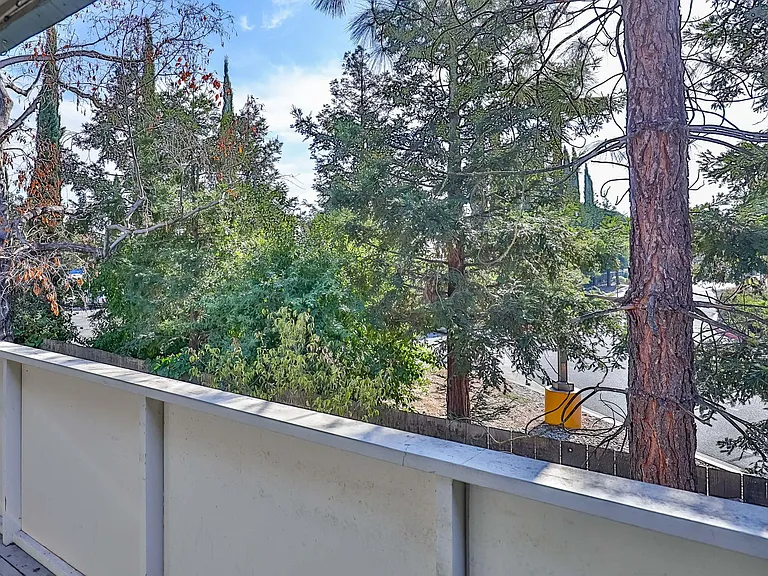 2422 Pleasant Hill Rd #3 — Photo 19