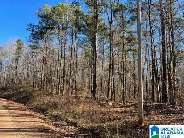 0 Creek Rd #0, Ashland, AL 36251