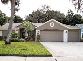 3021 Starmount Dr, Valrico, FL 33596
