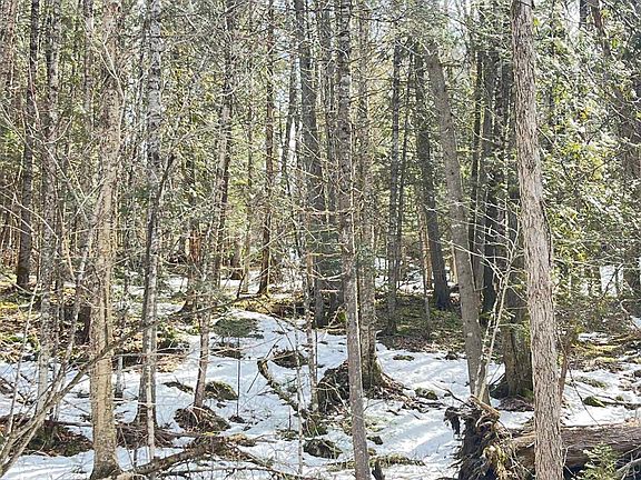 4th image of 0 Hollow Road