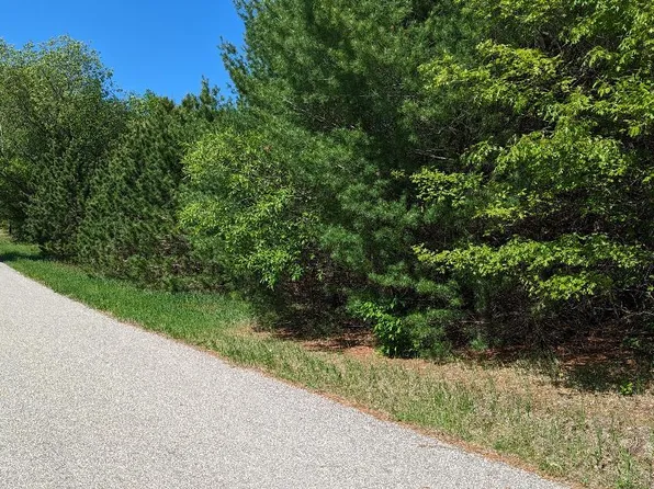 Porcupine Ln, Wausaukee, WI 54177