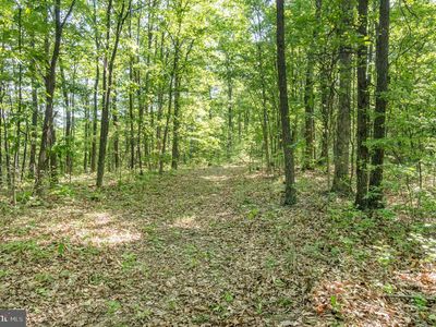 718 Coon Hollow Rd, Warfordsburg, PA, 17267