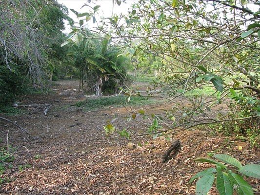 3rd image of Konawaena School Rd Lot 3