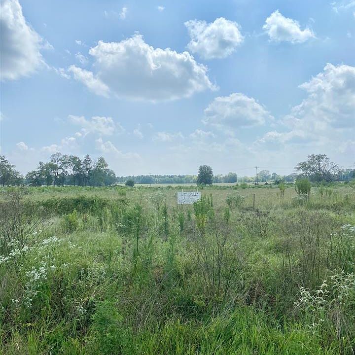 2nd image of County Road 2320