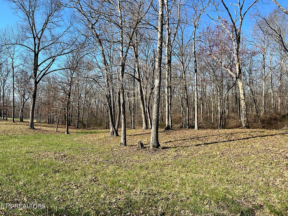 1st image of 10 Bluff View Dr