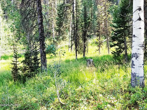 2nd image of 2261 Pine Meadow Dr