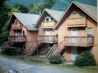 102 Skiview Ln #A1, Beech Mountain, NC 28604