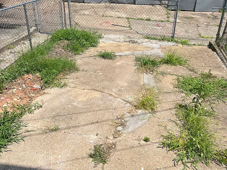 1115 N Lakewood Ave — Photo 18