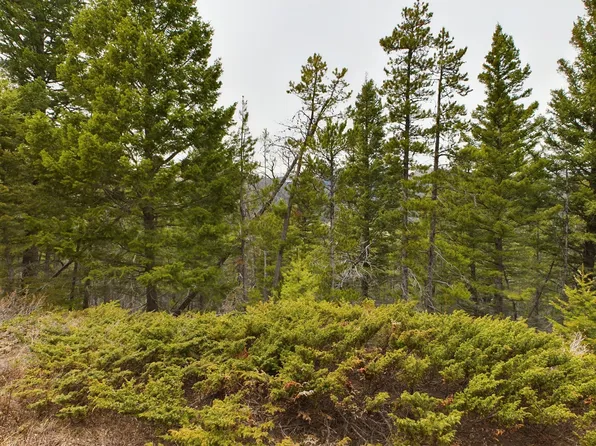 Tow Chain Trail Lot 62, Wolf Creek, MT 59648