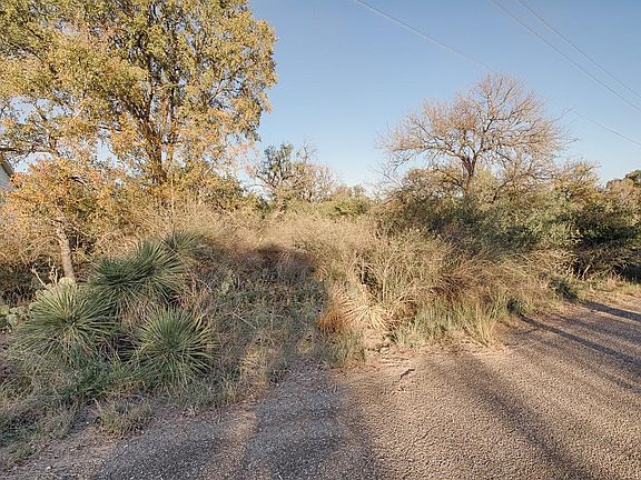 3rd image of Lots 114 & 115 E Willow
