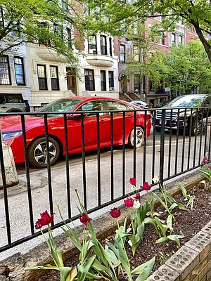 Rented by Douglas Elliman | media 16