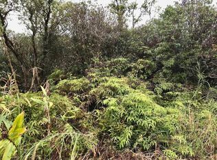 Road 4, Mountain View, HI 96771